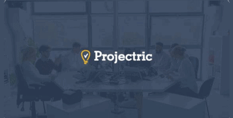 What is Projectric Project Portfolio Management?
